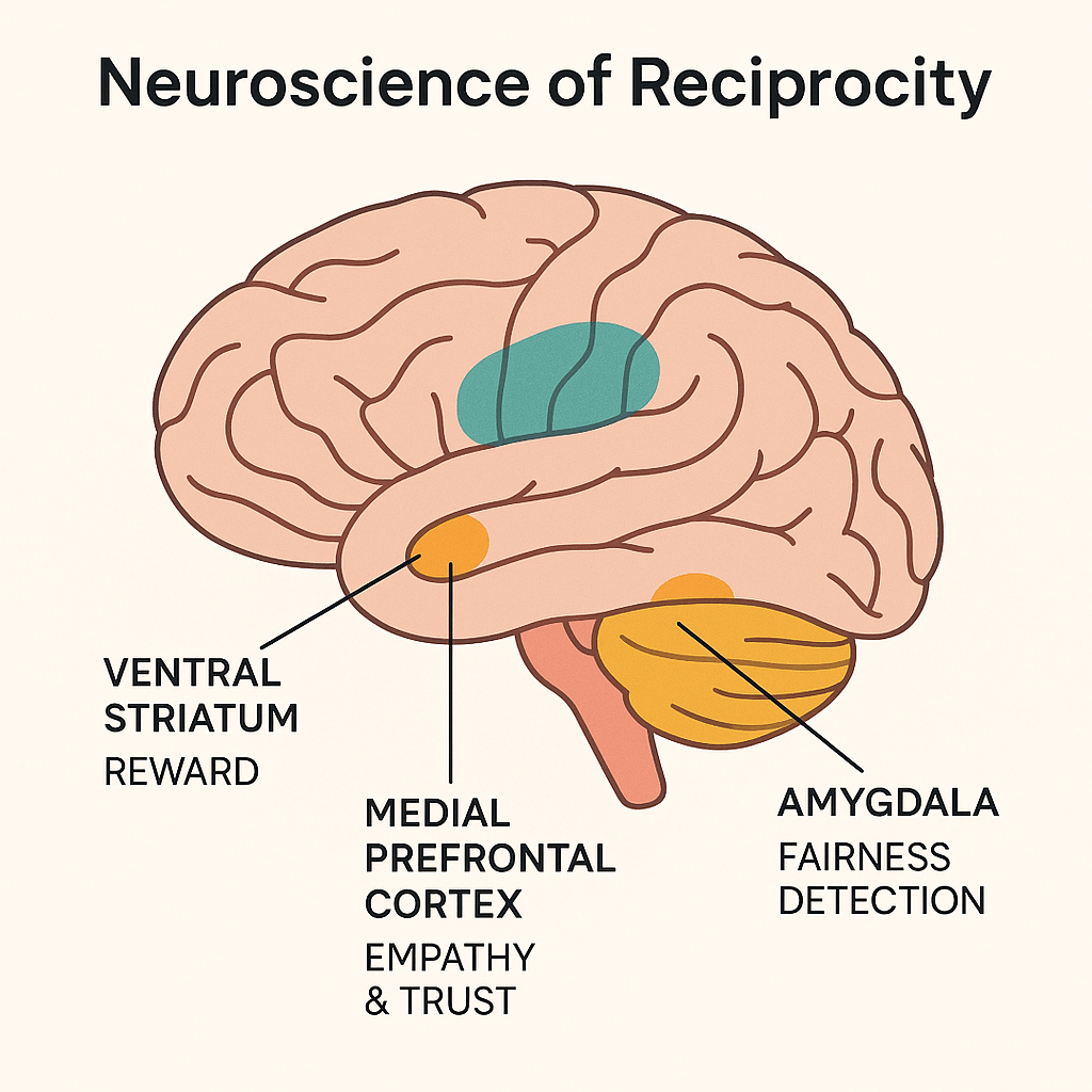 the neuroscience principle of Reciprocity.